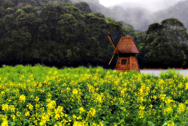 佛山中；峋傩写踊湃讼裆阌安煞缭硕